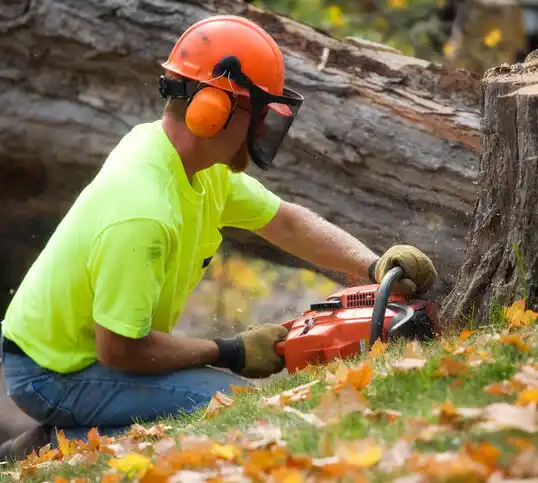 tree services Vidalia